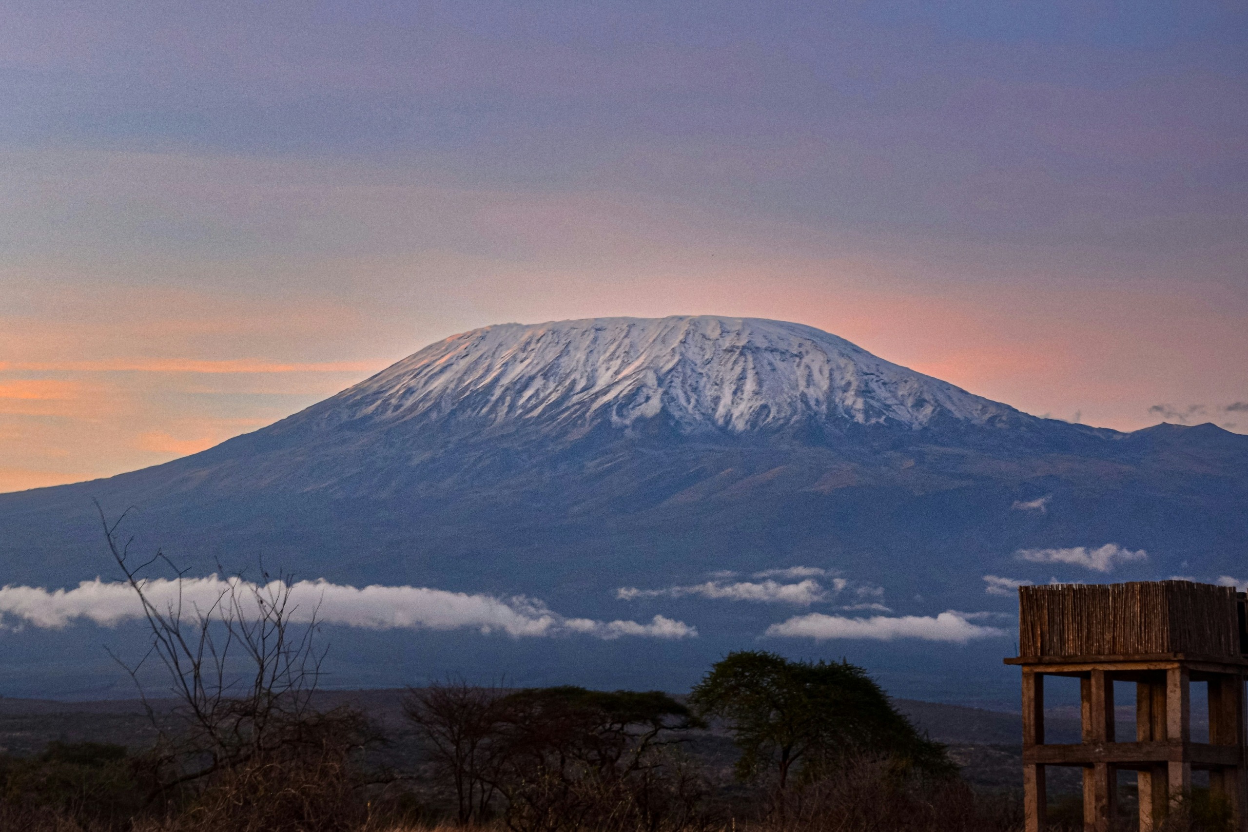 Kilimanjaro