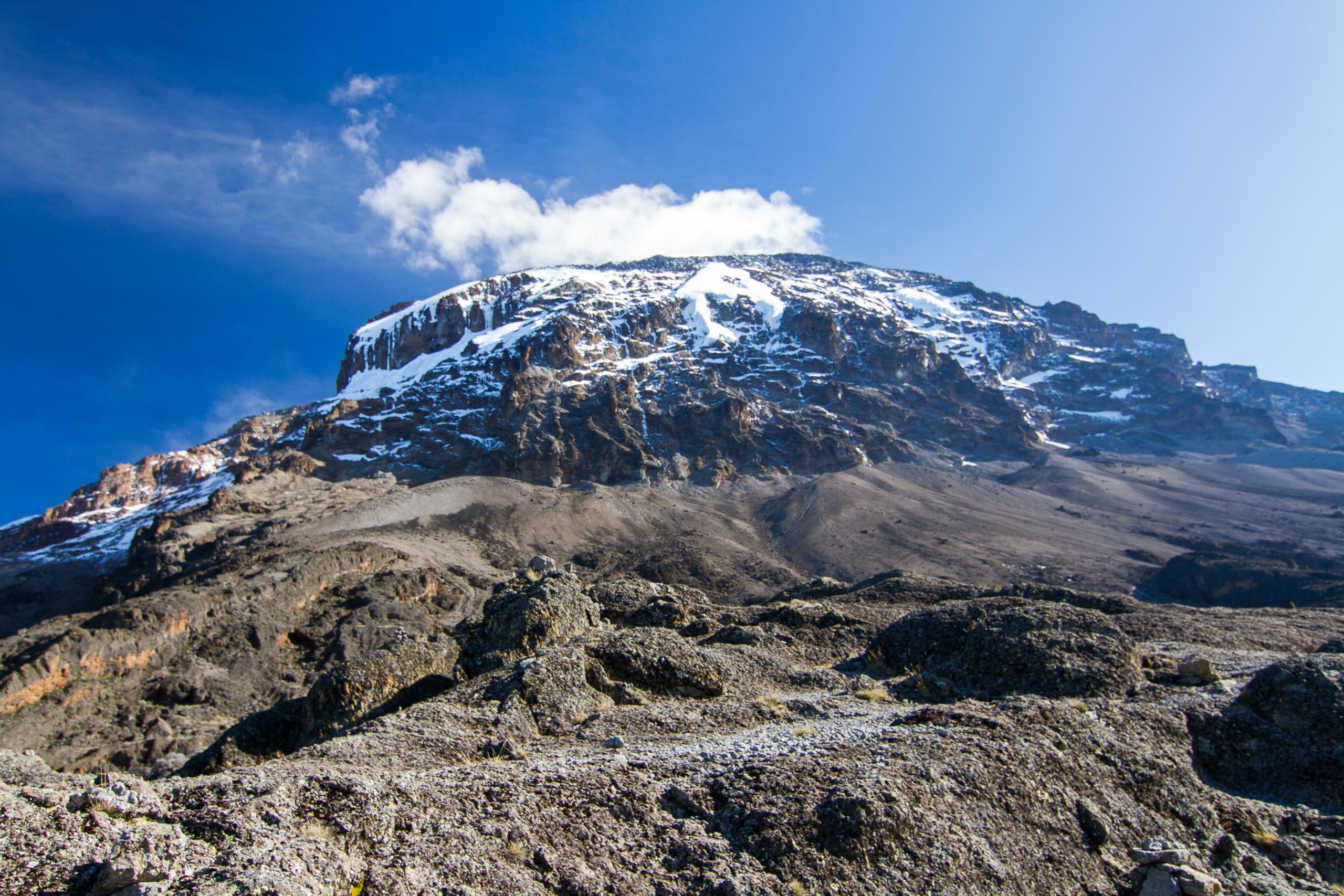 Kilimanjaro